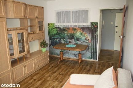 kawalerka do wynajęcia