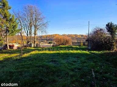 DOM JEDNORODZINNY NA DUŻEJ DZIAŁCE - GÓZD 93A