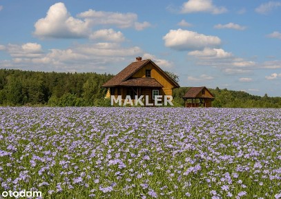 Polecamy! Działkę z domem całorocznym + sad z WZ