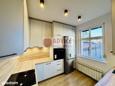 Dom na Biskupinie z działką.