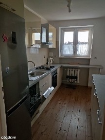 Różany Potok, Stare Miasto, Poznań, wielkopolskie