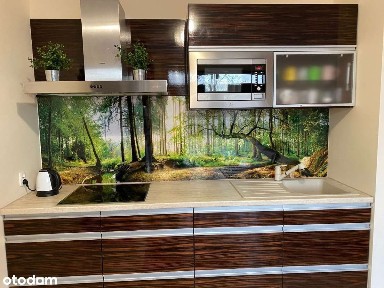 Muranów, Śródmieście, Warszawa, mazowieckie