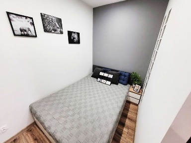 Wynajmę komfortowe mieszkanie 32 m2 ul. Akacjowa, po remoncie