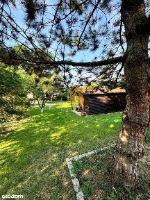 Przestronny, wolnostojący dom na dużej działce!