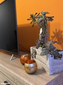 [Rezerwacja] Super lokalizacja, 10 min do Katowic!