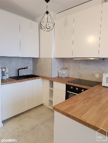 Dąb, Katowice, śląskie