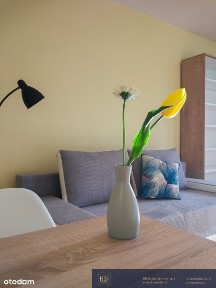 ul. Kozia, Leśnica, Fabryczna, Wrocław, dolnośląskie