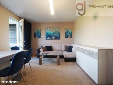 ul. Rocha Kowalskiego, Olechów, Widzew, Łódź, łódzkie