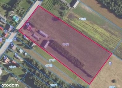 Siedlisko z drewnianym domem na dużej działce