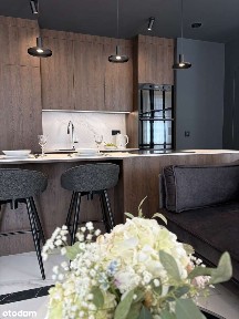 Wyjątkowe mieszkanie w nowej kamienicy art. Hose - ulica Śląska