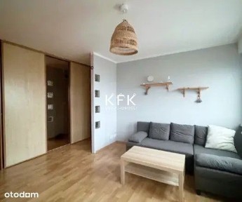 Wolne od zaraz Piękny widok Centrum