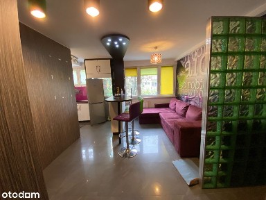 ul.Krasińskiego blisko Parku i Centrum miasta, UMK