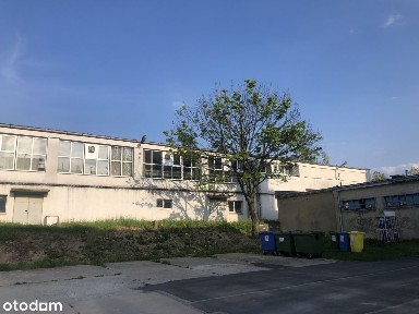 ul. Pafalu, Świdnica, świdnicki, dolnośląskie