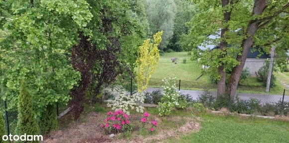 Do wynajęcia piękny dom w Sieprawiu