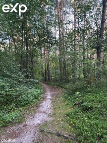 Młyn w Baryczy z domem nad rzeką Grabią