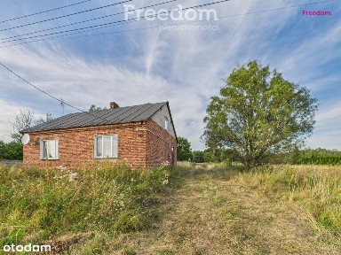 Siedlisko z działką 1,2 ha-Józefów, gmina Tczów.