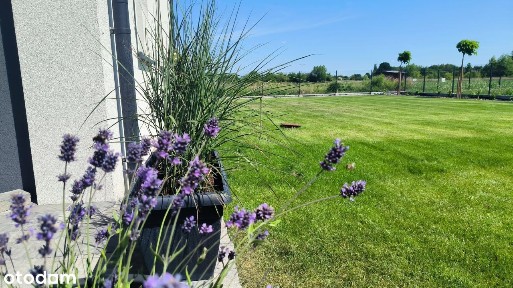 Dom gotowy do zamieszkania w okolicy Milanówka.