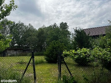 Siedlisko z działką 1Ha