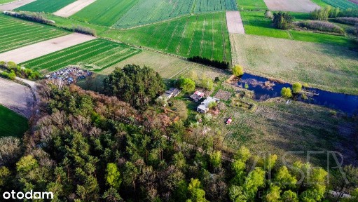 Siedlisko na uboczu | Brak sąsiadów | 5.3 Ha| Bud