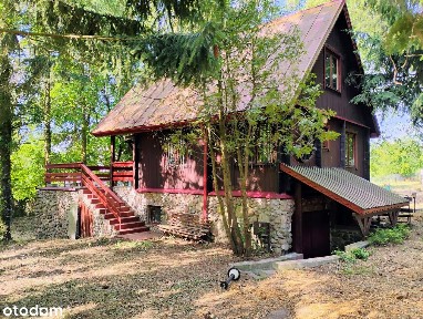 Drewniany dom letniskowy|Wierzbica|Rzeka, las |0%