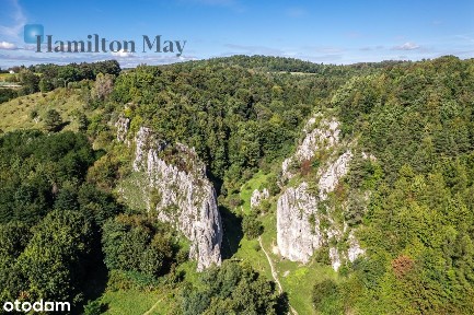Elegancki i zadbany dom w Bolechowicach