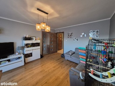 ul. Wiosenna, Świętochłowice, śląskie