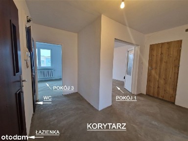 Super Lokalizacja, Piękny Rozkład- Okólna 63Mkw