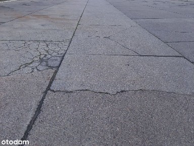 Świniary, Psie Pole, Wrocław, dolnośląskie