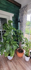 3-pokojowy, bezczynszowy dom na wynajem, najlepiej dla 2 os.35 min Gda