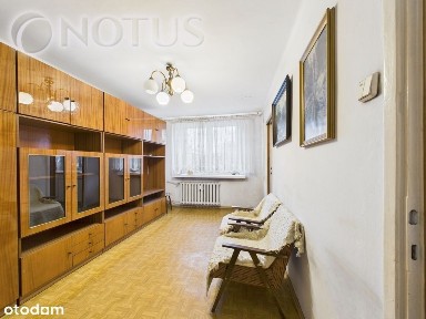 Centrum Południe, Zabrze, śląskie