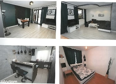 Dom wolnostojący pod miastem z własnym lasem