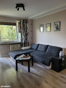 mieszkanie do wynajęcia