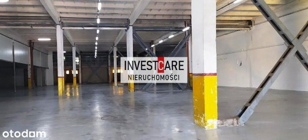 Wodzisław Śląski, wodzisławski, śląskie