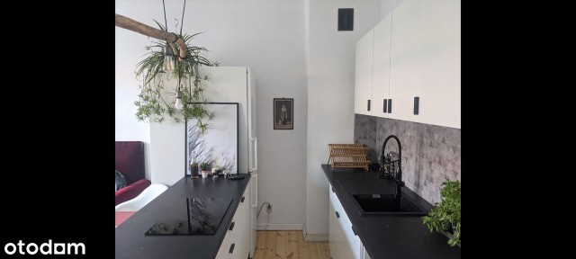 2 pok bezpośrednio, klimatyczne 50m2 przy parku, zwierzęta ok