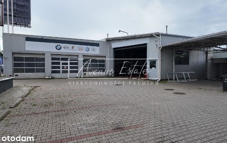 Las, Wawer, Warszawa, mazowieckie