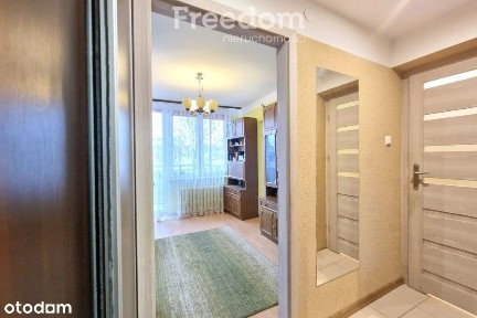 Przytulna kawalerka - Sidorska/Al. Tysiąclecia