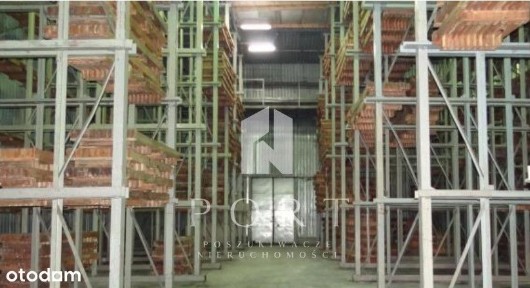 ul. A. Hryniewickiego, Śródmieście, Gdynia, pomorskie