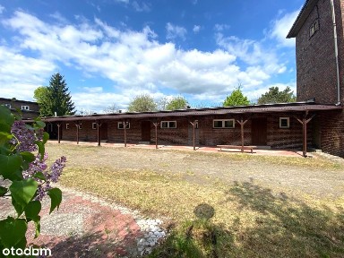 4 niezależne lokale nieopodal lasu i jeziora