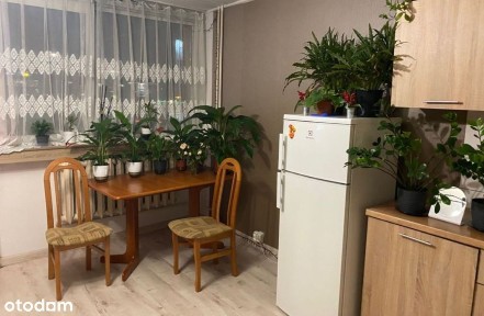 Grabiszyn/1 pokój/balkon/dobrze skomunikowane