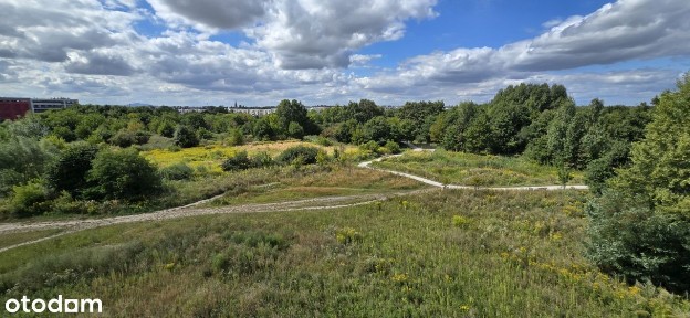 ul. Mglista, Krzyki, Wrocław, dolnośląskie