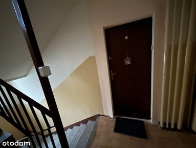 Udział 1/2 w mieszkaniu