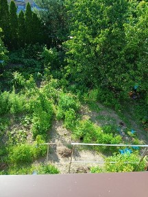 Dom wolno stojący z ogrodem