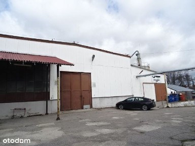 Bartoszyce, bartoszycki, warmińsko-mazurskie