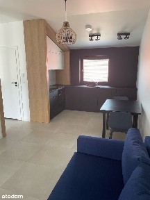 Wynajmę mieszkanie kawalerę 30m2 Przeźmierowo