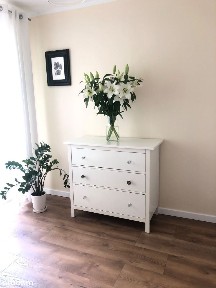 ul. Jasielska, Rakowiec, Ochota, Warszawa, mazowieckie