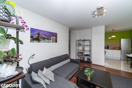 ul. Mikołaja Kopernika, Stare Polesie, Polesie, Łódź, łódzkie