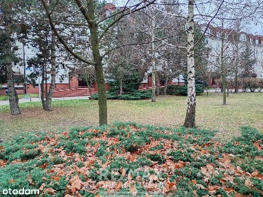 Ursynów Północny, Ursynów, Warszawa, mazowieckie