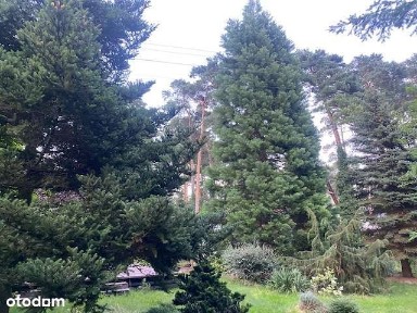 Dom przy lesie w Tanowie,możliwa zamiana