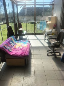 Dom z dużą działką