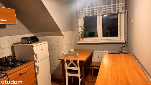 Wynajem 2-pokojowego mieszkania z piwnicą